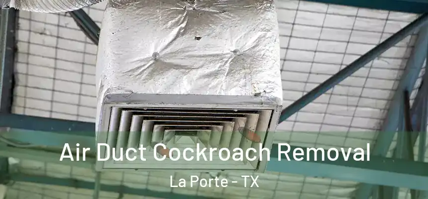 Air Duct Cockroach Removal La Porte - TX