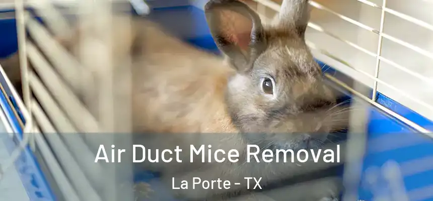 Air Duct Mice Removal La Porte - TX