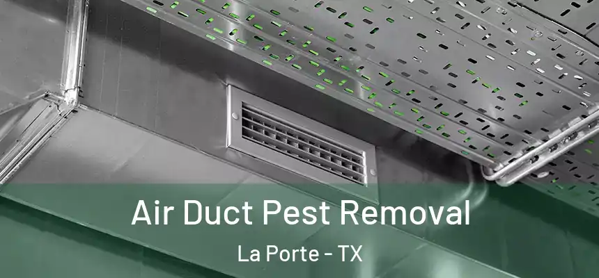  Air Duct Pest Removal La Porte - TX