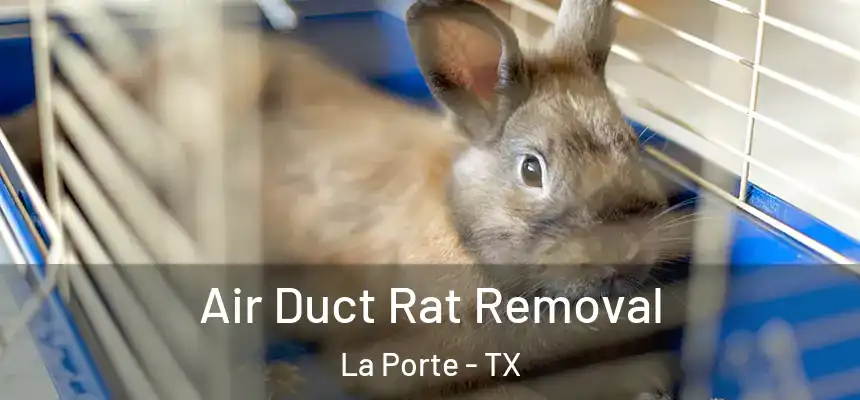 Air Duct Rat Removal La Porte - TX