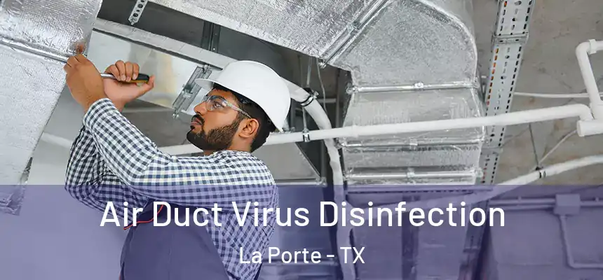 Air Duct Virus Disinfection La Porte - TX
