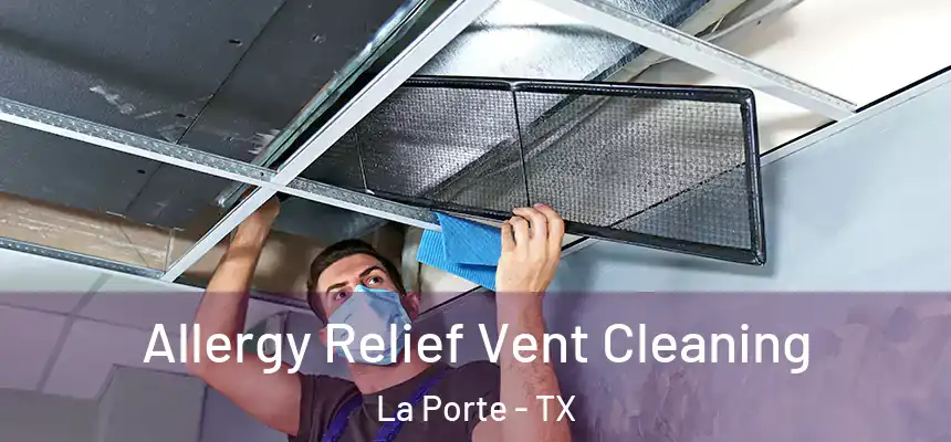 Allergy Relief Vent Cleaning La Porte - TX