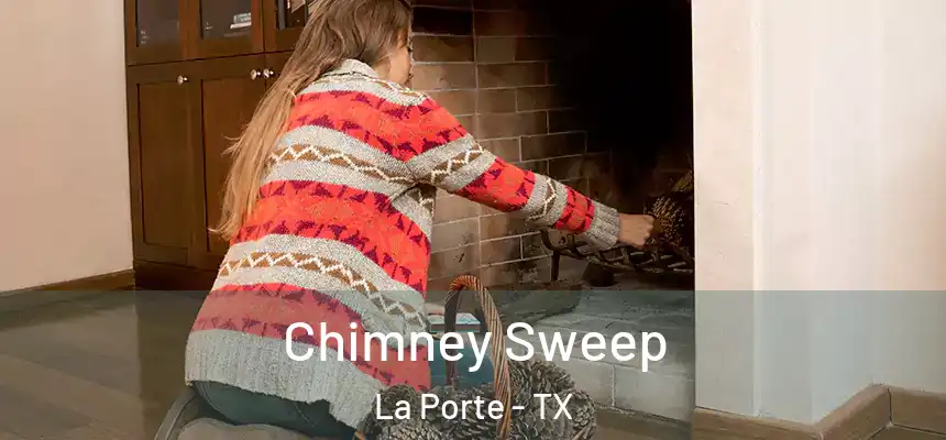  Chimney Sweep La Porte - TX