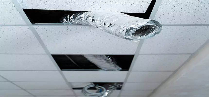 Our Air Duct Pet Hair Removal Services in La Porte, TX