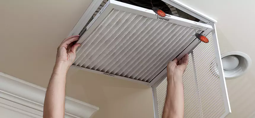 Our Insect Removal from Air Ducts Services in La Porte, TX