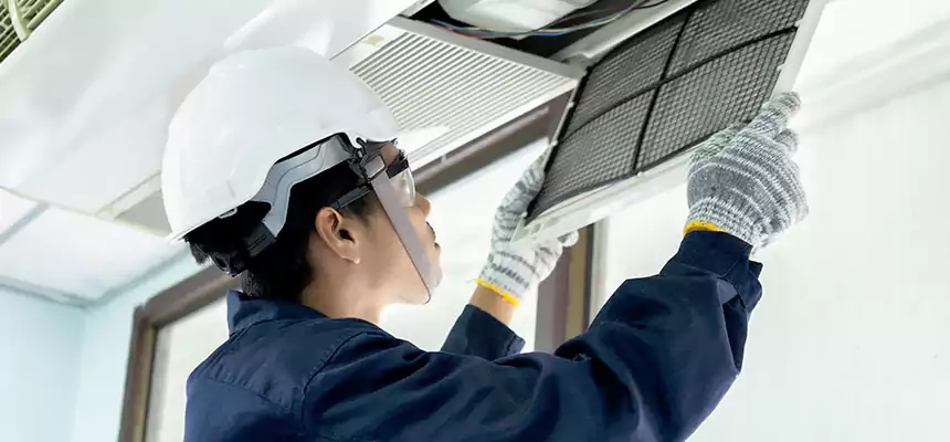 Our Mold & Mildew Removal from Air Ducts Services in La Porte, TX