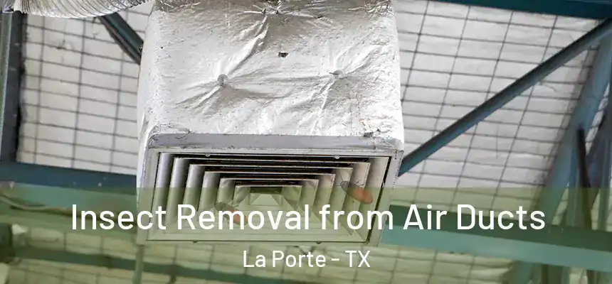  Insect Removal from Air Ducts La Porte - TX