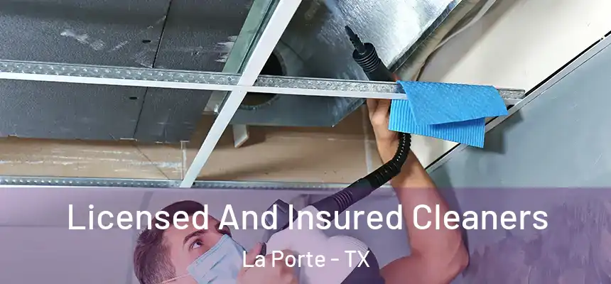 Licensed And Insured Cleaners La Porte - TX