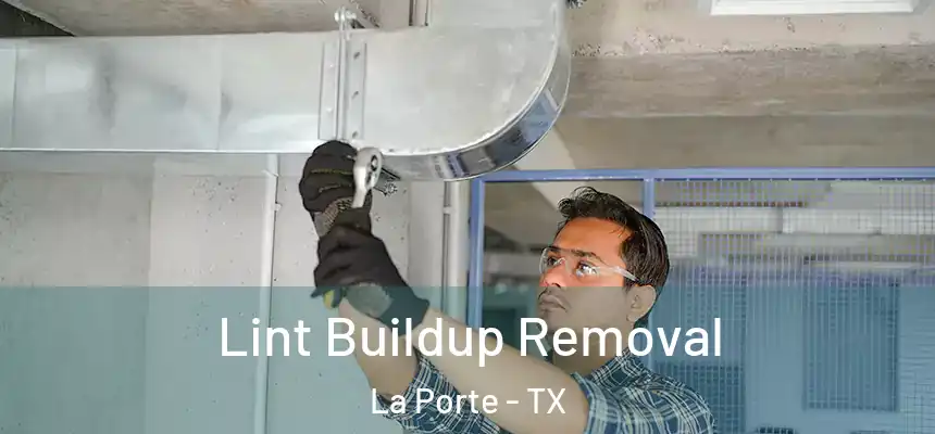 Lint Buildup Removal La Porte - TX