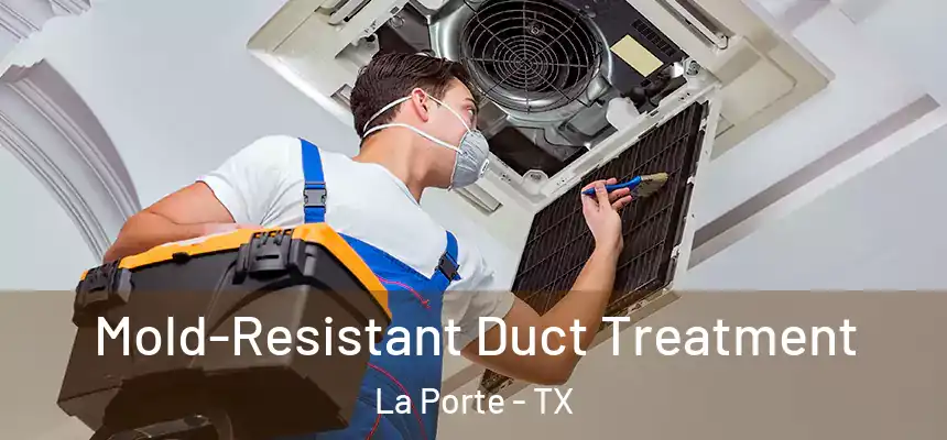  Mold-Resistant Duct Treatment La Porte - TX