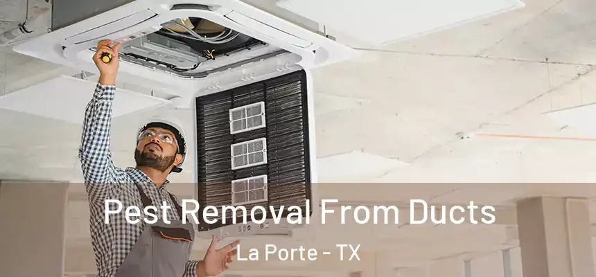 Pest Removal From Ducts La Porte - TX