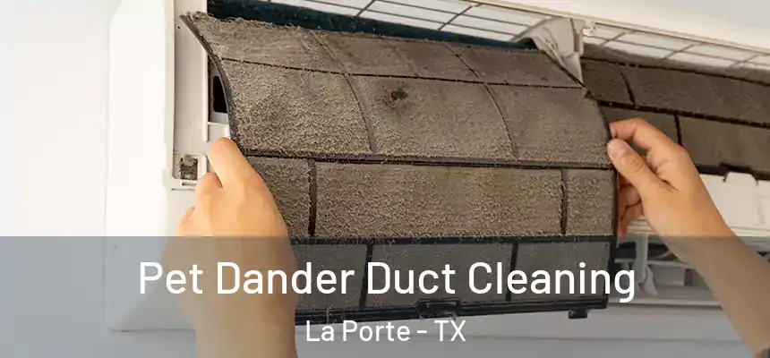  Pet Dander Duct Cleaning La Porte - TX