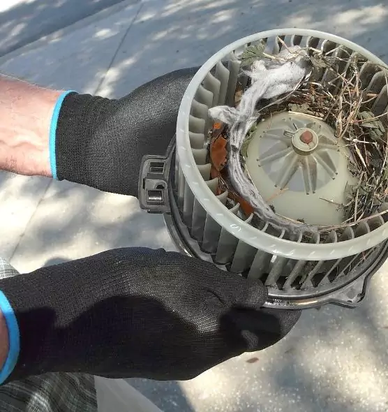 About Air Duct Rat Removal in La Porte, TX