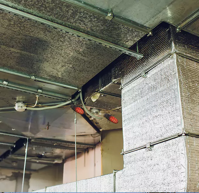 Why Homeowners & Businesses Trust Us in La Porte, TX?