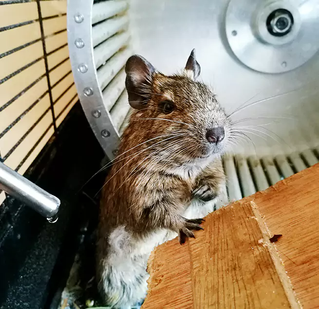 Why Homeowners & Businesses Trust Us La Porte, TX