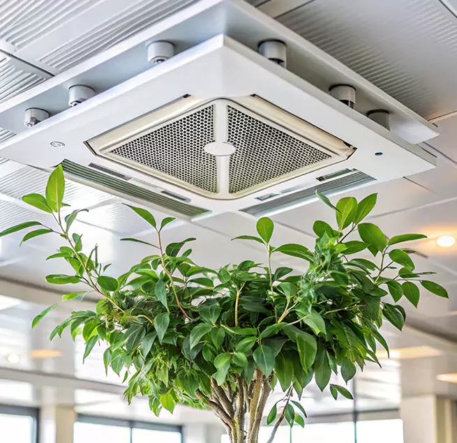 Why Homeowners & Businesses Trust Us in La Porte, TX?